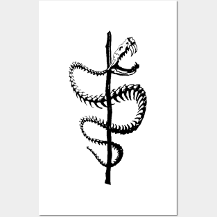 Aesculape Skeleton Snake Design Posters and Art